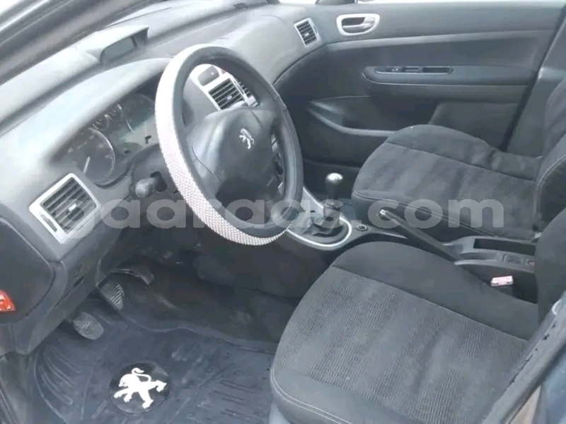 Big with watermark peugeot 307 dakar dakar 28501