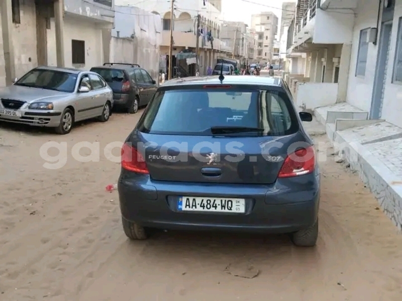 Big with watermark peugeot 307 dakar dakar 28501