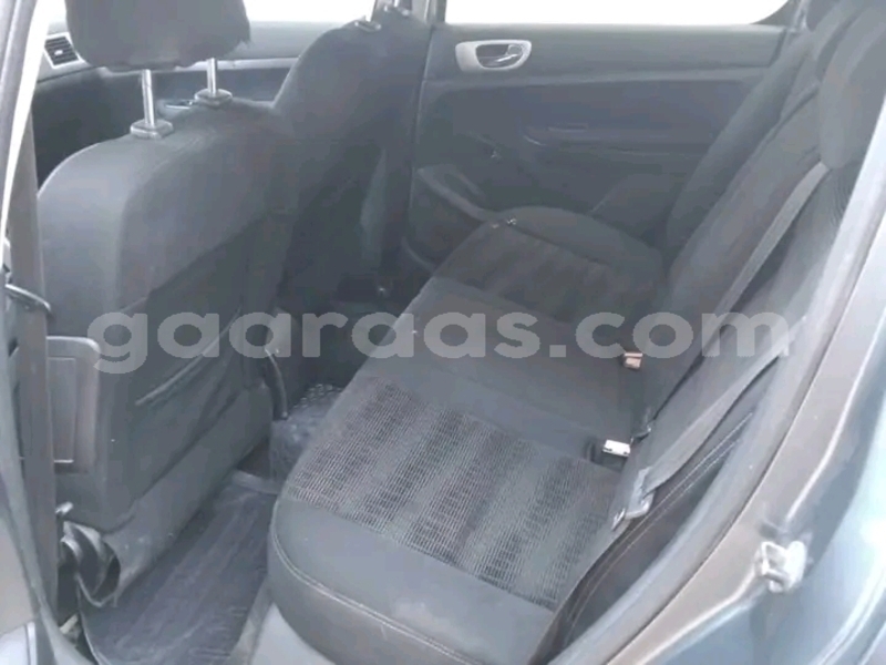 Big with watermark peugeot 307 dakar dakar 28501