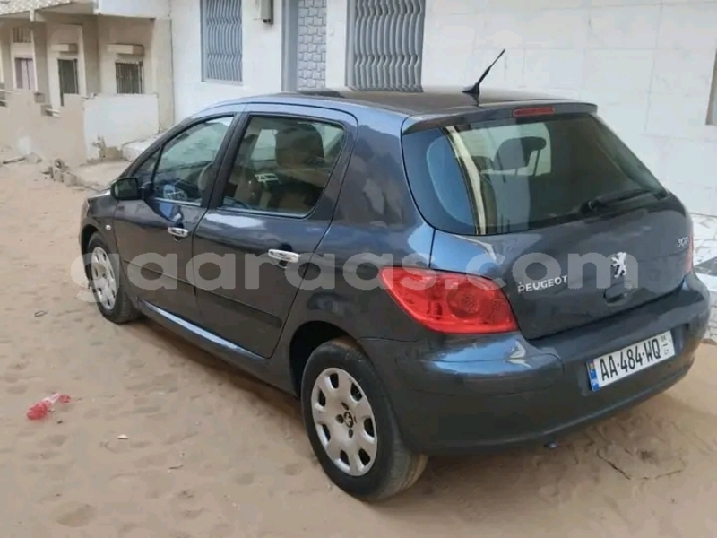 Big with watermark peugeot 307 dakar dakar 28501