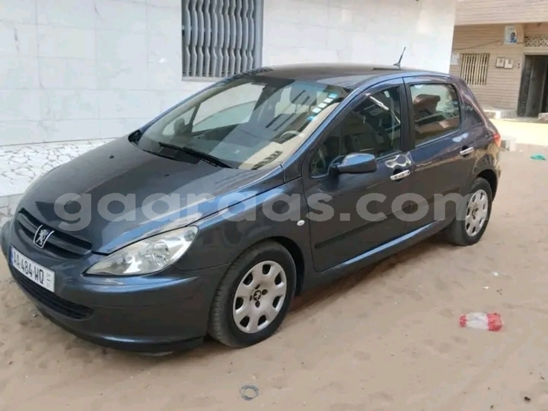 Big with watermark peugeot 307 dakar dakar 28501