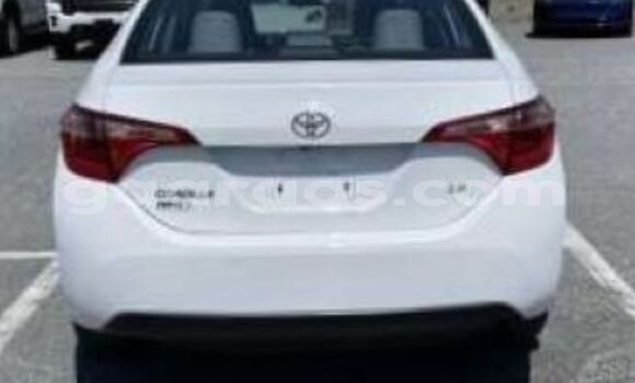 Dieundeu Occasion Toyota Corolla White Auto in Dagana in Saint-Louis