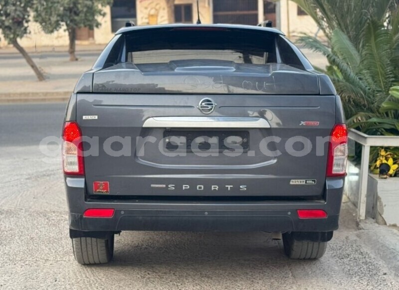 Big with watermark ssangyong korando dakar dakar 28785