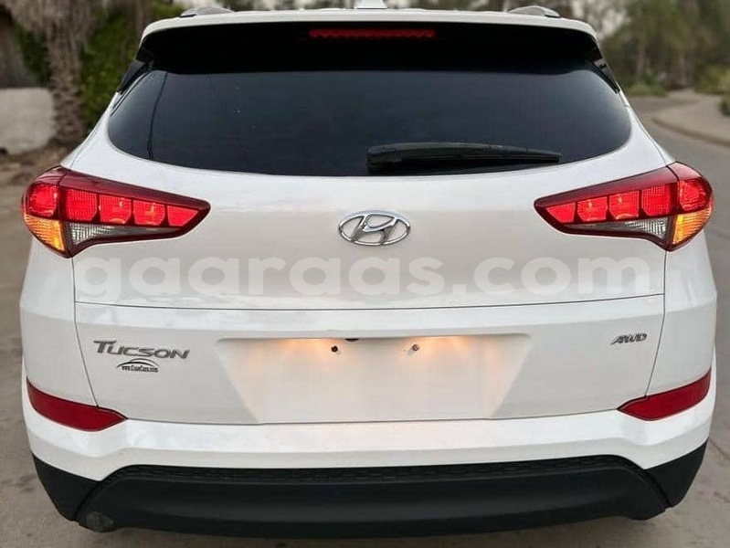 Big with watermark hyundai tucson dakar dakar 28803