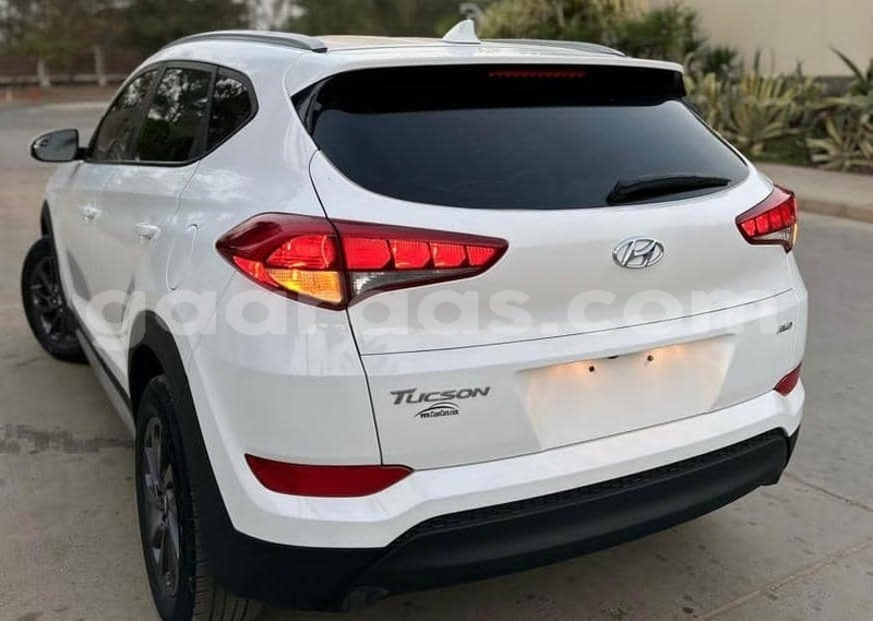 Big with watermark hyundai tucson dakar dakar 28803