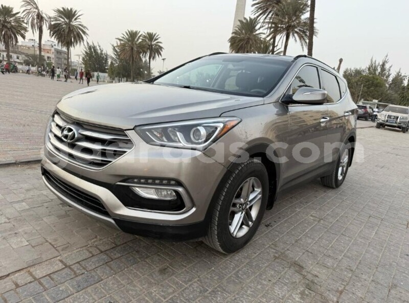 Big with watermark hyundai santa fe dakar dakar 29070