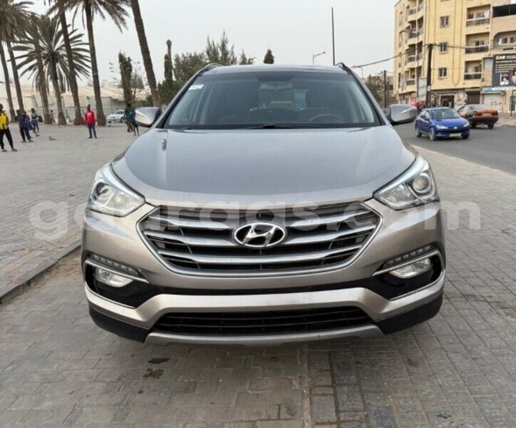 Big with watermark hyundai santa fe dakar dakar 29070