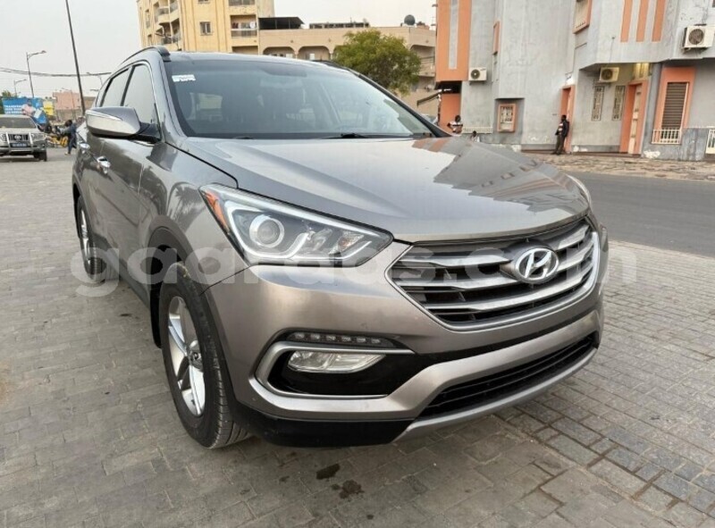 Big with watermark hyundai santa fe dakar dakar 29070