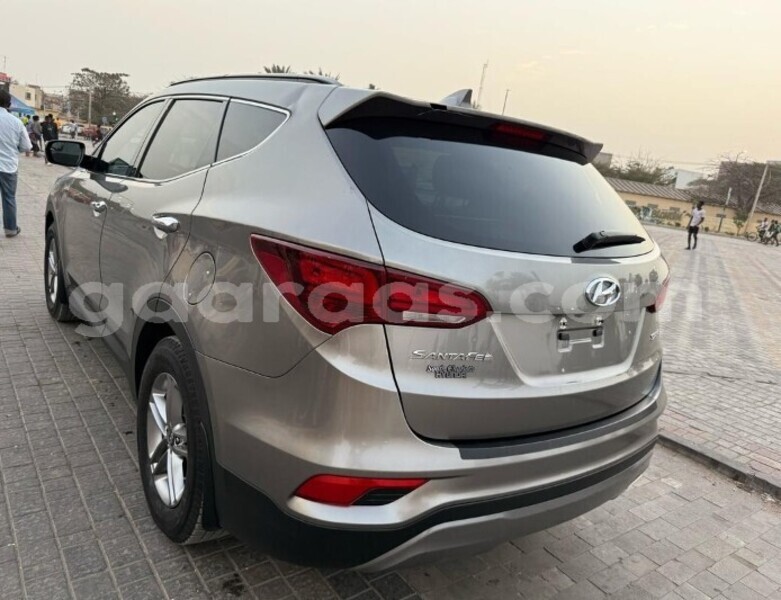 Big with watermark hyundai santa fe dakar dakar 29070