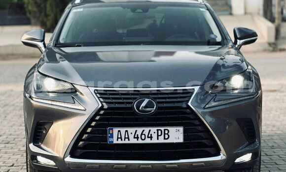 Buy Import Lexus NX Silver Car in Dakar in Dakar