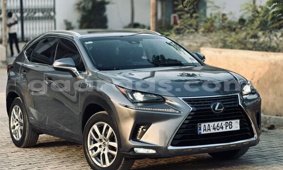 Acheter Import Voiture Lexus NX Gris à Dakar, Dakar Acheter Import Voiture Lexus NX Gris à Dakar, Dakar