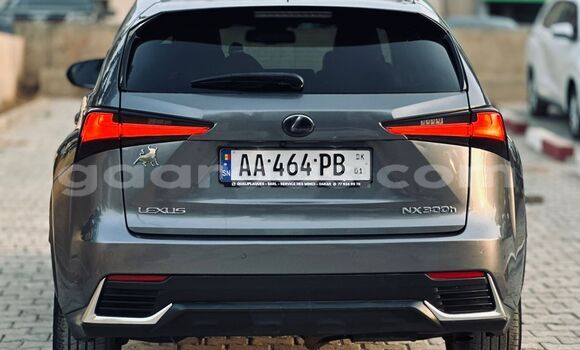 Acheter Import Voiture Lexus NX Gris à Dakar, Dakar Acheter Import Voiture Lexus NX Gris à Dakar, Dakar