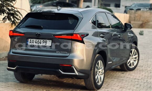 Acheter Import Voiture Lexus NX Gris à Dakar, Dakar Acheter Import Voiture Lexus NX Gris à Dakar, Dakar