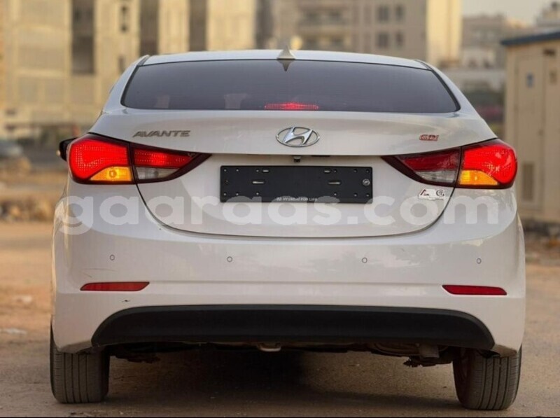 Big with watermark hyundai avante dakar dakar 29138