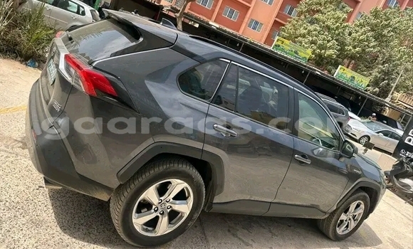 Acheter Occasion Voiture Toyota RAV4 Noir à Dakar, Dakar