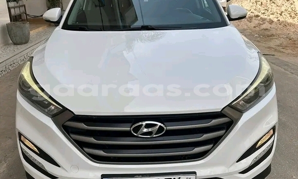 Buy Used Ford Fusion White Car in Dakar in Dakar