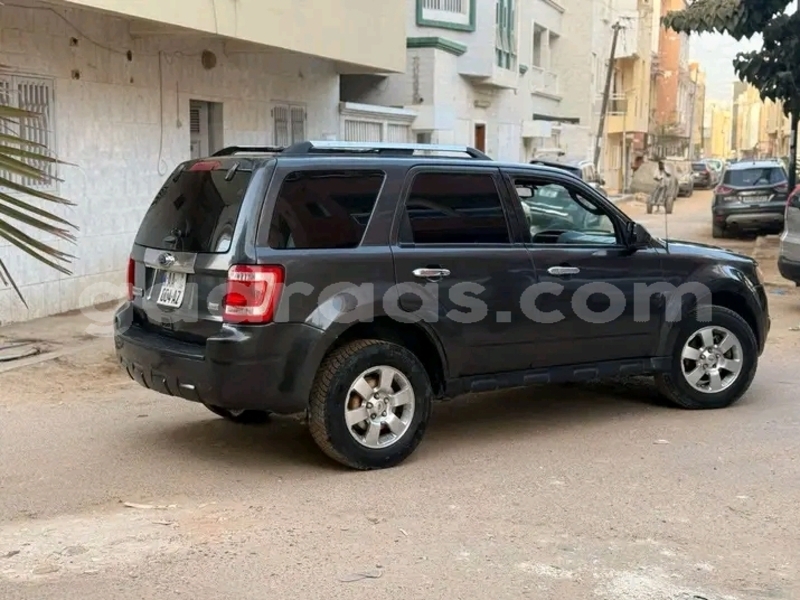 Big with watermark ford escape dakar dakar 29238