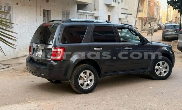 Buy Used Ford Escape Other Car in Dakar in Dakar Buy Used Ford Escape Other Car in Dakar in Dakar