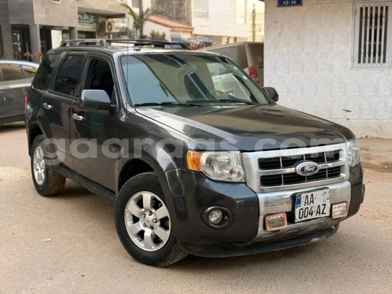 Big with watermark ford escape dakar dakar 29238