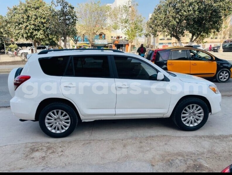 Big with watermark toyota rav4 dakar dakar 29369