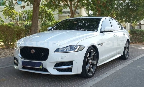 Buy Used Jaguar XF White Car in Dakar in Dakar