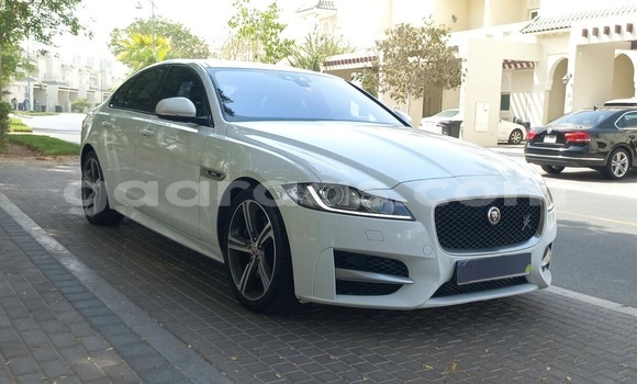 Dieundeu Occasion Jaguar XF White Auto in Dakar in Dakar Dieundeu Occasion Jaguar XF White Auto in Dakar in Dakar