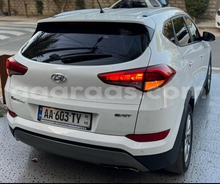 Big with watermark hyundai tucson dakar dakar 29419