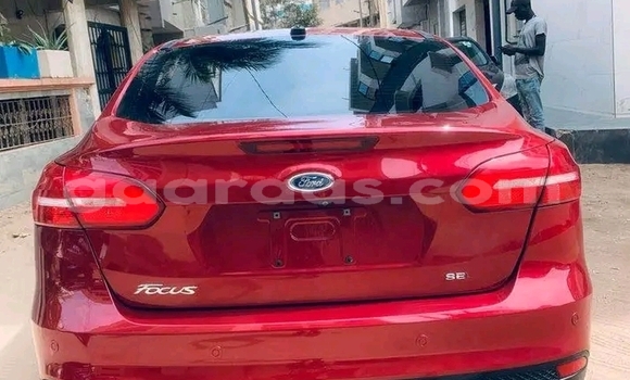 Dieundeu Occasion Ford Focus Red Auto in Dakar in Dakar Dieundeu Occasion Ford Focus Red Auto in Dakar in Dakar