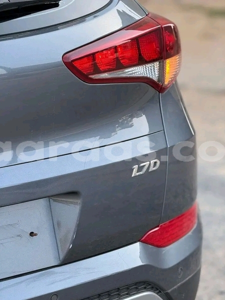 Big with watermark hyundai tucson dakar dakar 29514