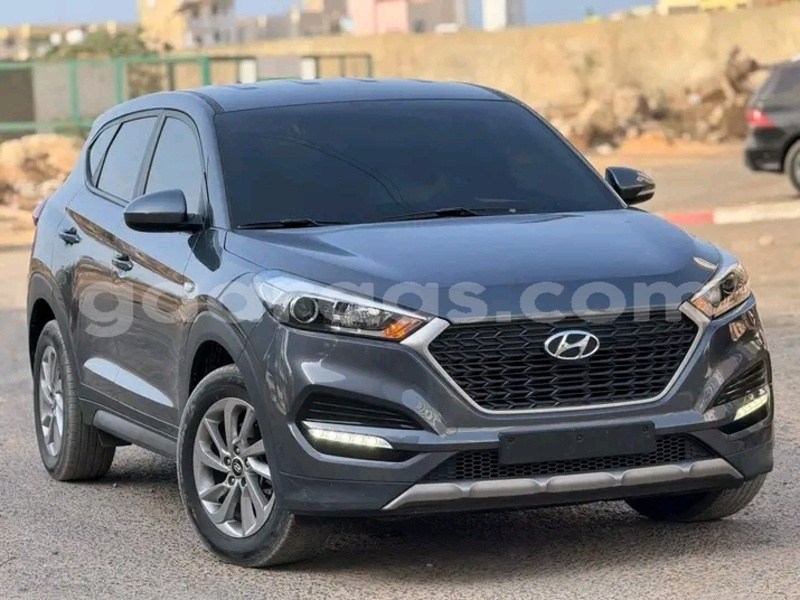 Big with watermark hyundai tucson dakar dakar 29514