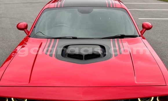 Dieundeu Occasion Dodge Challenger Red Auto in Dakar in Dakar Dieundeu Occasion Dodge Challenger Red Auto in Dakar in Dakar