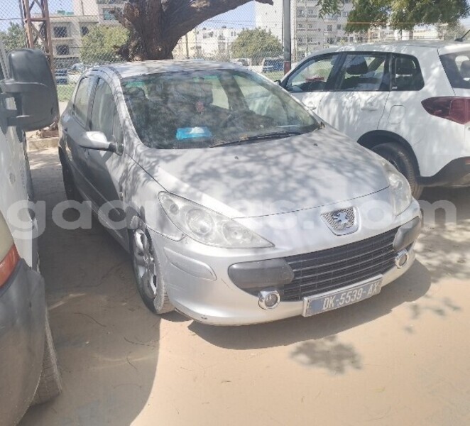 Big with watermark peugeot 307 dakar dakar 29610