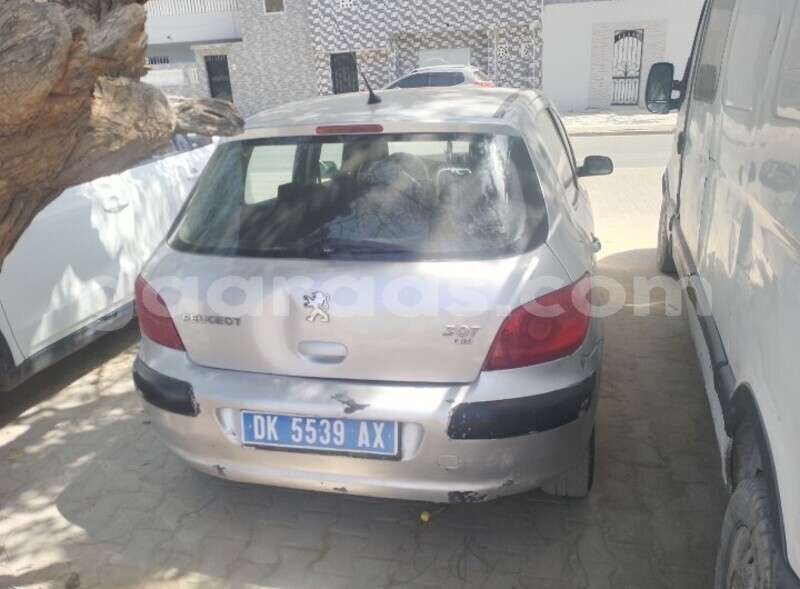 Big with watermark peugeot 307 dakar dakar 29610