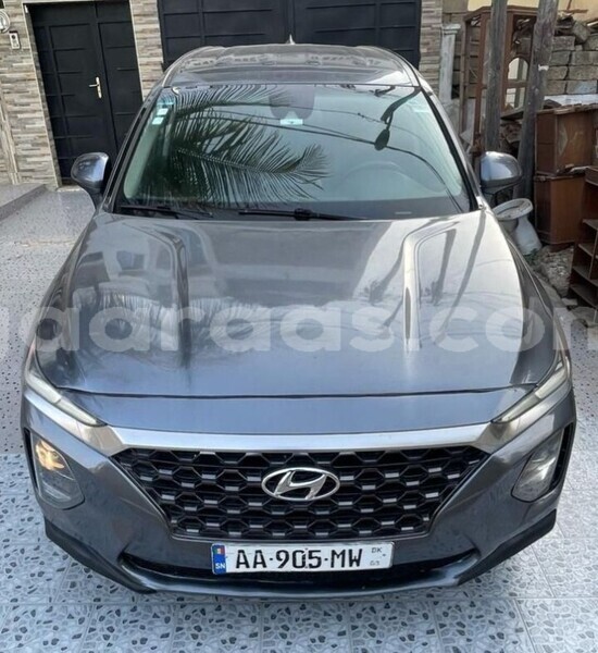 Big with watermark hyundai santa fe dakar dakar 29674