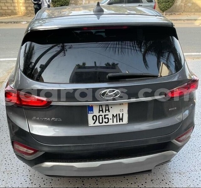 Big with watermark hyundai santa fe dakar dakar 29674