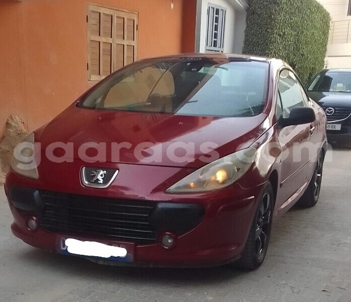 Big with watermark peugeot 307 dakar dakar 29761