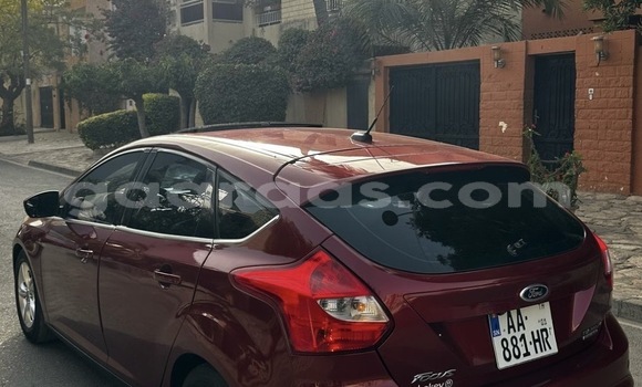 Buy New Ford Focus Brown Car in Dakar in Dakar Buy New Ford Focus Brown Car in Dakar in Dakar