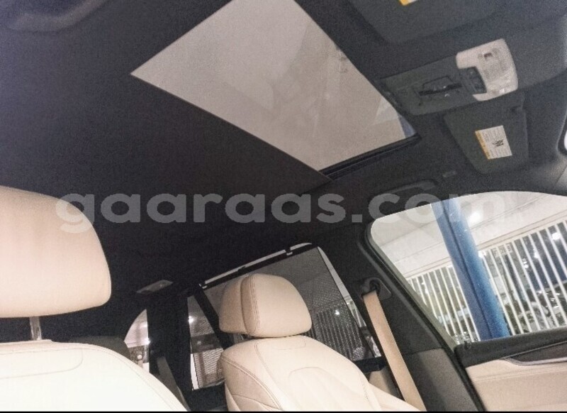 Big with watermark bmw x5 m dakar dakar 29816