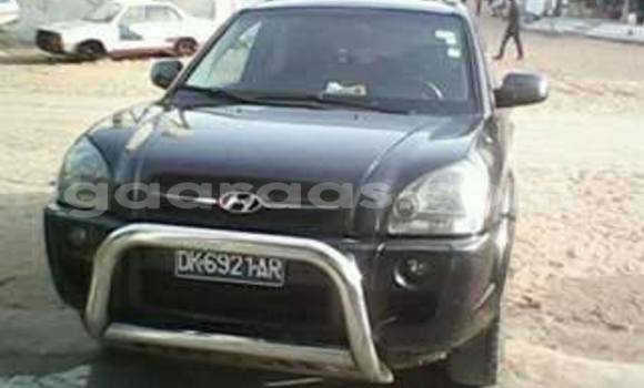 Acheter Occasion Voiture Hyundai Tucson Autre à Gueule Tapee Fass Colobane au Dakar Acheter Occasion Voiture Hyundai Tucson Autre à Gueule Tapee Fass Colobane au Dakar