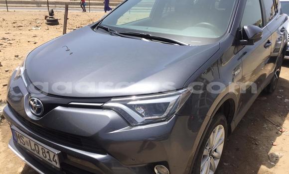 Buy Import Toyota RAV4 Silver Car in Dakar in Dakar Buy Import Toyota RAV4 Silver Car in Dakar in Dakar