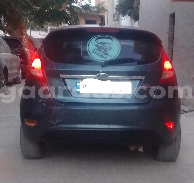 Big with watermark ford fiesta dakar dakar 29914