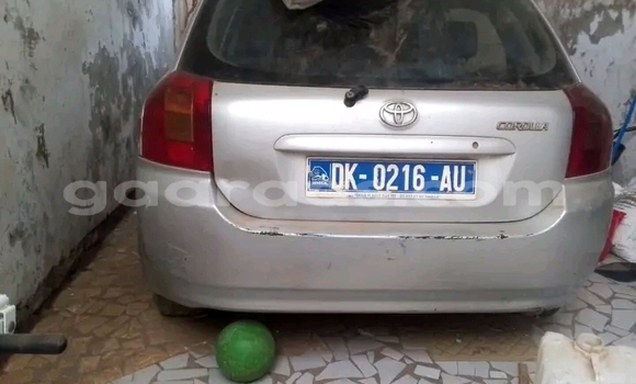 Dieundeu Occasion Toyota Corolla Other Auto in Dahra in Louga Dieundeu Occasion Toyota Corolla Other Auto in Dahra in Louga