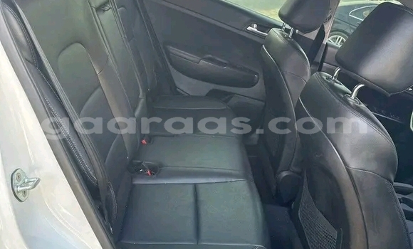 Dieundeu Occasion Kia Sportage White Auto in Dakar in Dakar Dieundeu Occasion Kia Sportage White Auto in Dakar in Dakar