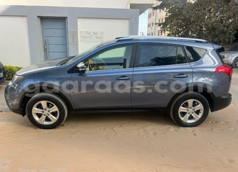 Big with watermark toyota rav4 dakar dakar 30256