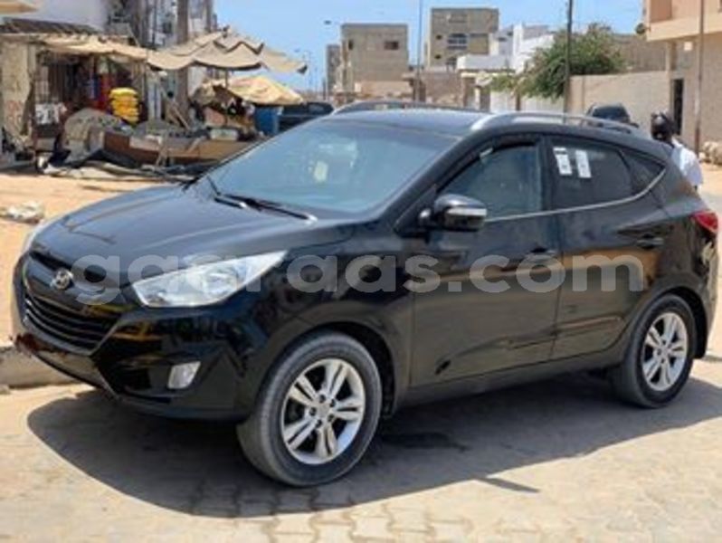 Big with watermark 66310830 707135083047332 318589107670351872 n