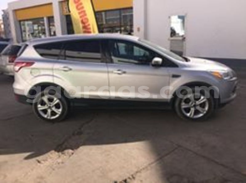 Big with watermark 65034982 691942784566562 4148055796451639296 n