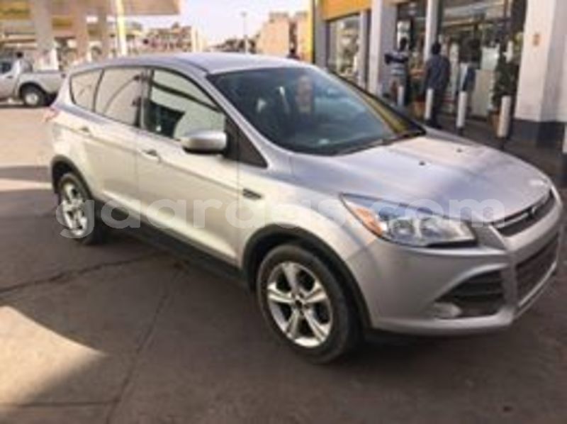 Big with watermark 65072516 691942831233224 6423361661205217280 n