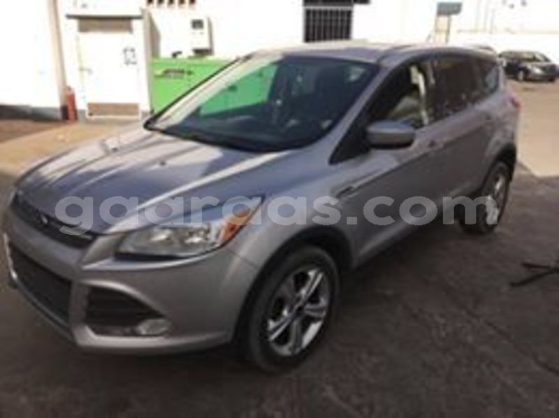 Big with watermark 64877164 691942881233219 8925580745674588160 n