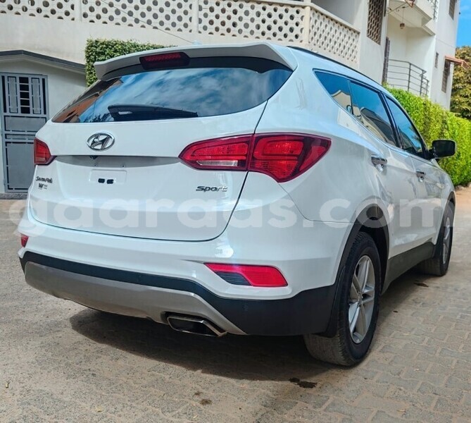 Big with watermark hyundai santa fe dakar dakar 30523