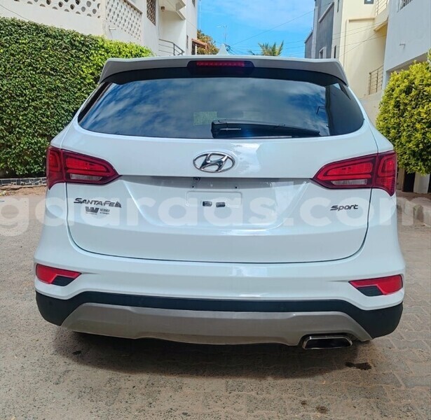 Big with watermark hyundai santa fe dakar dakar 30523